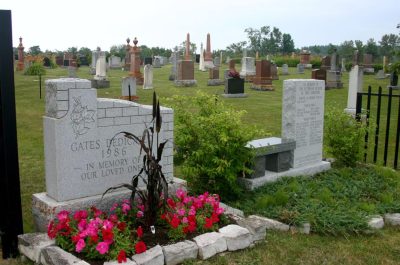 Dalrymple Cem-w1